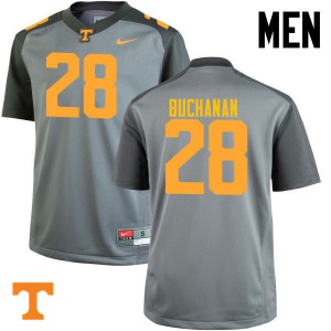 Men Tennessee Vols #28 Baylen Buchanan Gray Alumni Jersey 330600-178