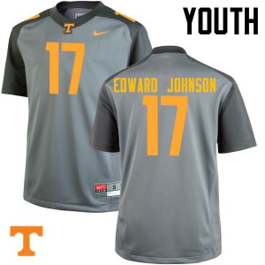 Youth Vols #17 Brandon Edward Johnson Gray Football Jerseys 775594-268