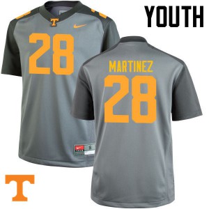 Youth Tennessee Volunteers #28 Will Martinez Gray Stitch Jersey 590094-868