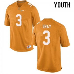 Youth Tennessee Volunteers #3 Eric Gray Orange High School Jersey 516808-950